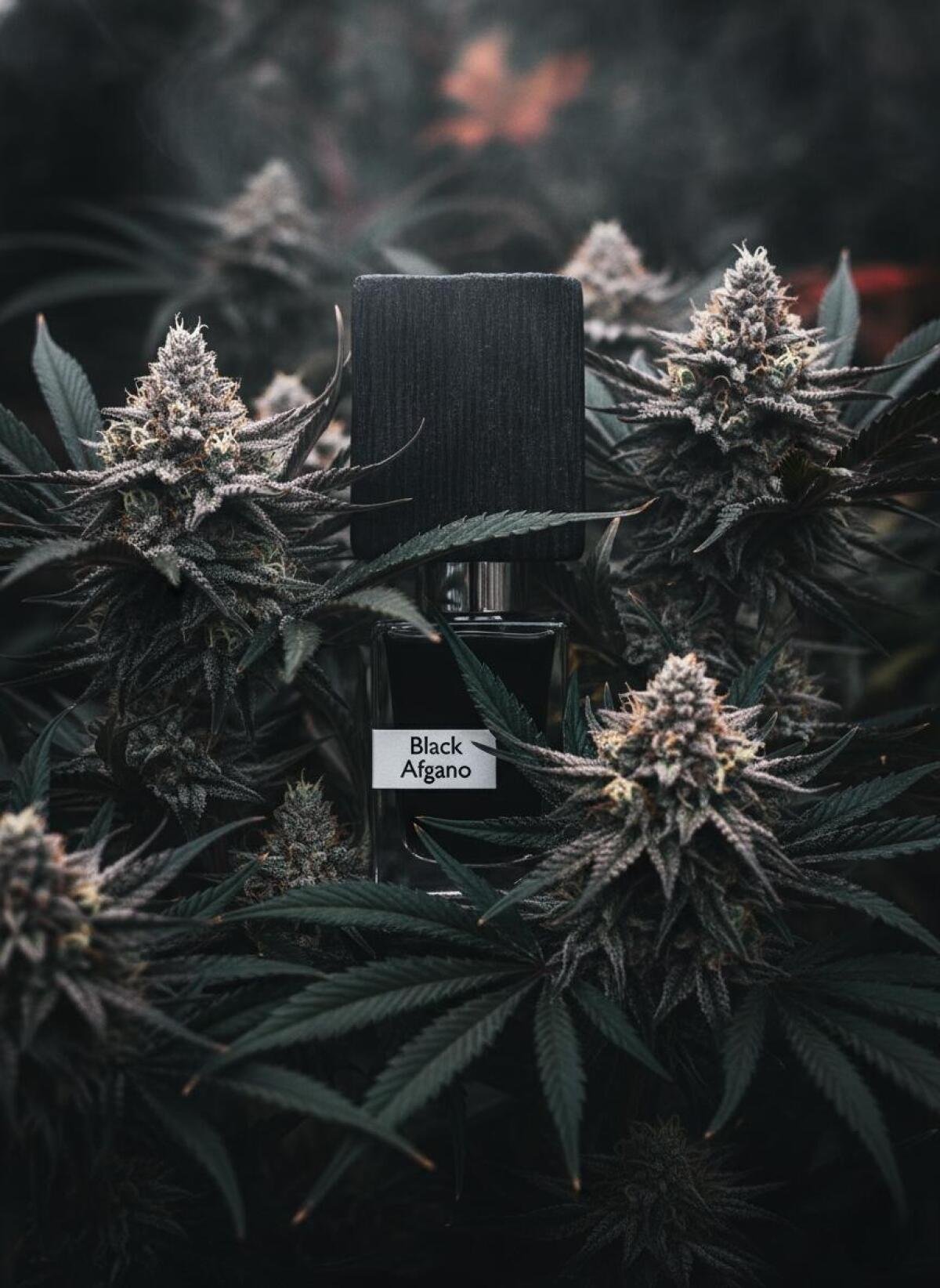 black afgano nasomatto perfume plants